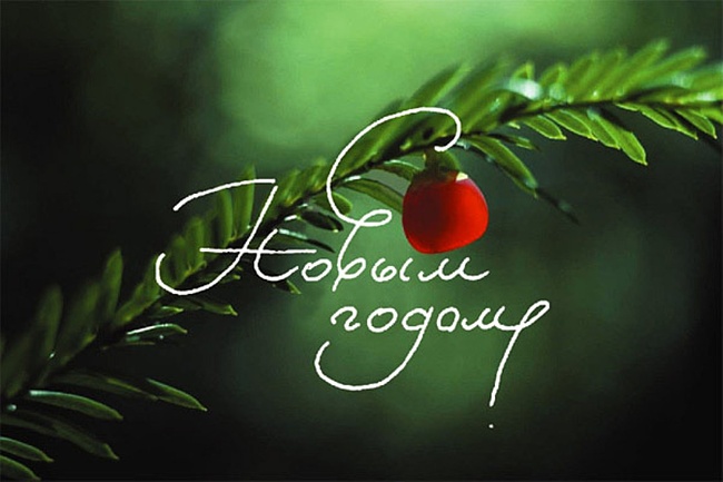 С наступающим Новым годом!!! С наступающим Новым годом!!!